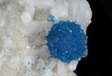 Spectacular Cavansite Crystals on Stilbite - India #33699-2